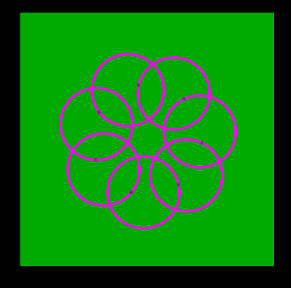 Flower Turtle