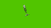 Skeleton whale