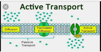 Active Transport Abstraction 