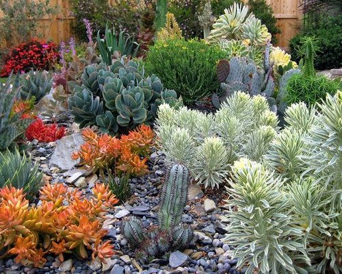 https://st.hzcdn.com/fimgs/2151357c0fa024b6_8767-w500-h400-b0-p0--contemporary-landscape.jpg