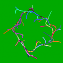 Screen shot of StarLogo Nova model of Turn & Walk