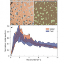 Predicted and observed patterns of fairy circles