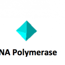 Symbols to show gene reaction from MIT BioGraph Curriculum