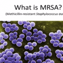 Slide from presentation