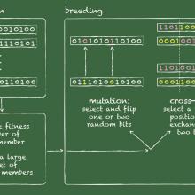 population biology model