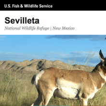 Sevilleta nwr