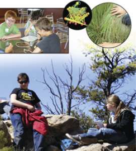Collage of students observing ecosystems from Project GUTS webpage