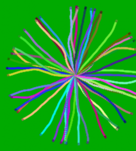 Screen shot of image made by painted turtles