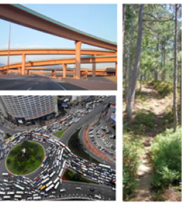 Traffic images for Project GUTS collage