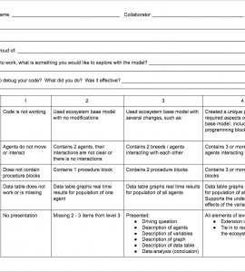 Screen shot of rubric